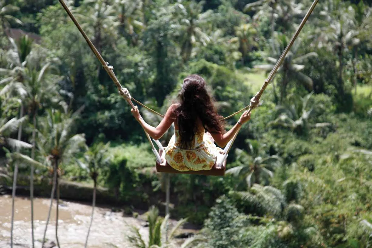 Swinging above the jungle